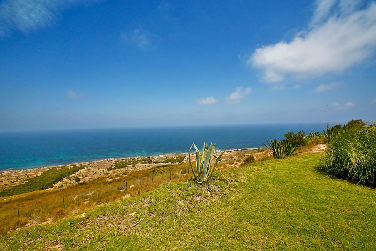 Lighthouse View I